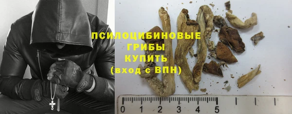 каннабис Алексеевка
