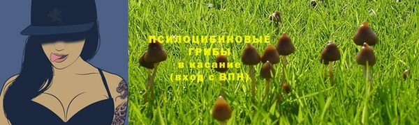 каннабис Алексеевка