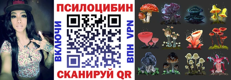 Галлюциногенные грибы ЛСД  сколько стоит  Венёв 